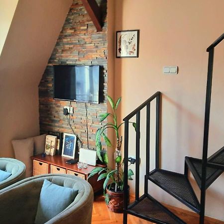 Duplex Studio Mansarda Lejlighed Beograd Eksteriør billede