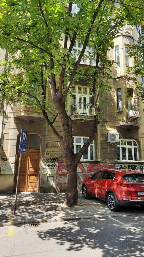 Duplex Studio Mansarda Lejlighed Beograd Eksteriør billede
