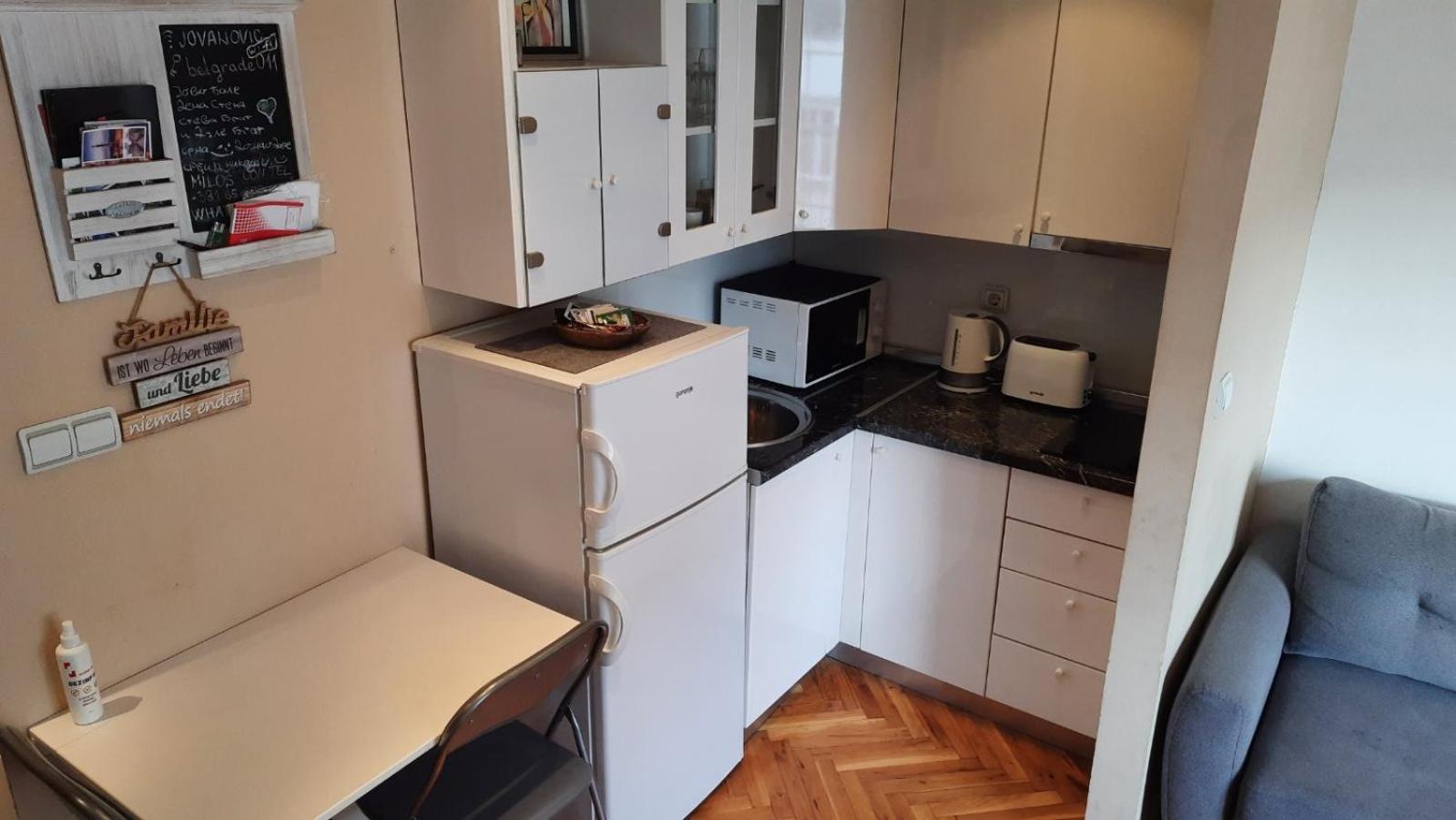 Duplex Studio Mansarda Lejlighed Beograd Eksteriør billede