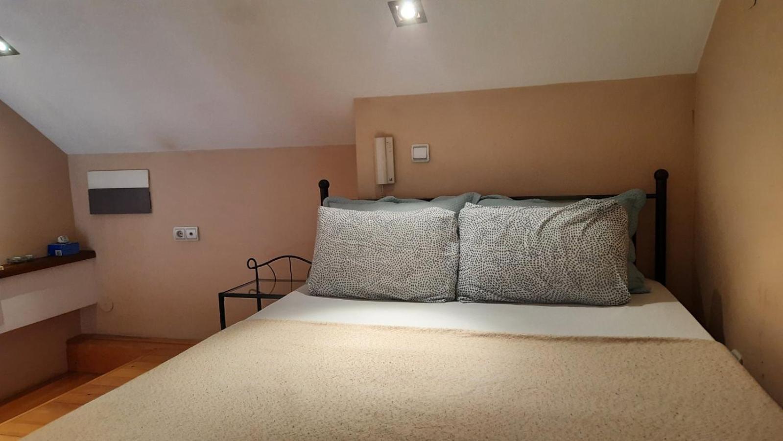 Duplex Studio Mansarda Lejlighed Beograd Eksteriør billede